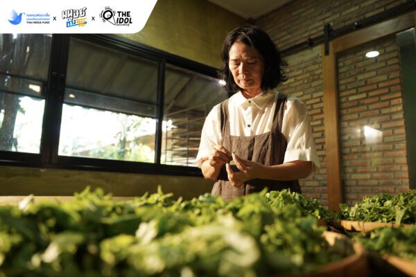 สหรีจันตา Sahrey Chanta Organic 