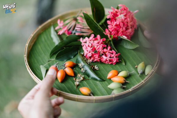 ‘บรรจงร้อยเป็นมาลัย’ คุยกับ ‘ครูนิด’ เจ้าของเพจ ‘ร้อยเรียบ’ ผู้เก็บพืชพันธุ์รอบตัวกว่า 100 ชนิด มาร้อยเป็นพวงมาลัยในแบบที่ไม่มีใครเหมือน 