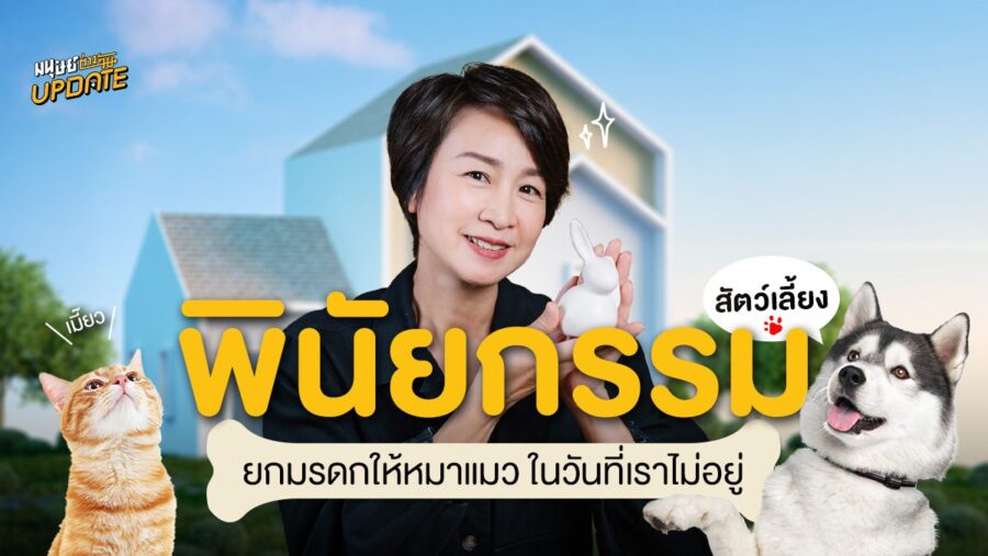 พินัยกรรมสัตว์เลี้ยง ยกมรดกให้หมาแมว ในวันที่เราไม่อยู่ | มนุษย์ต่างวัยอัปเดต