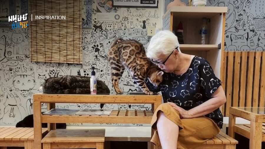 ‘เมื่อการทำงานไม่ใช่หน้าที่ แต่คือคุณค่าในชีวิต’ ความสุขของคุณยาย แห่งคาเฟ่แมวบำบัด ที่ตั้งใจให้ลูกค้าได้มาพักใจในวันยาก ๆ ของชีวิต