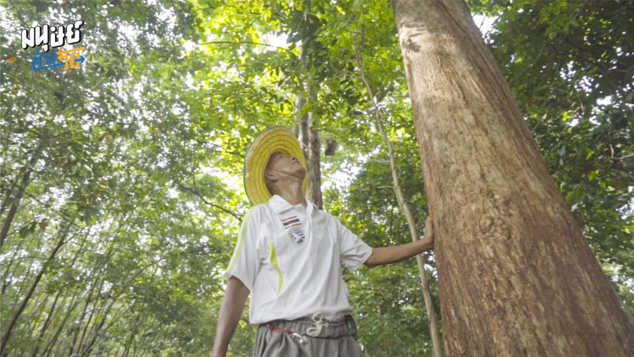 สมหมาย วันสอน ชายผู้ปลูกป่ามูลค่าหลักสิบล้านไว้เป็นมรดกให้คนแปลกหน้า